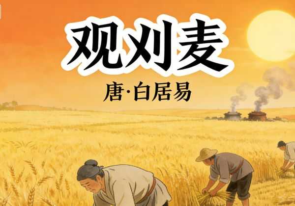 白居易《观刈麦》：一诗道尽农民疾苦，藏着文人的愧疚与担当
